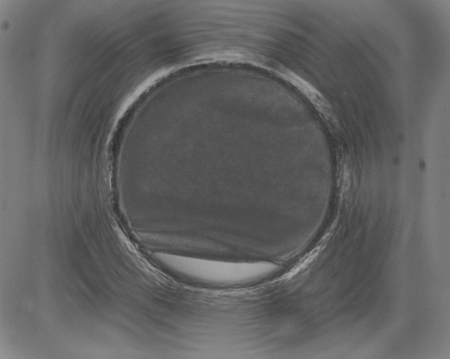 X0000080811118200701051143