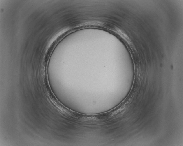 X0000080811119200701051143