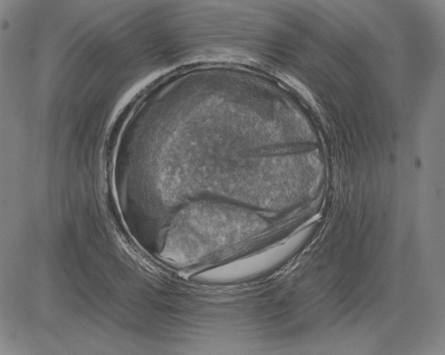 X0000080811120200701051143