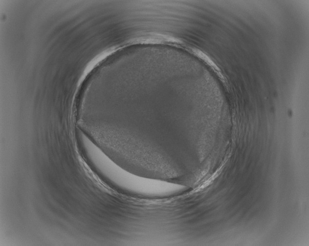 X0000080811122200701051143