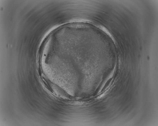 X0000080811124200701051143