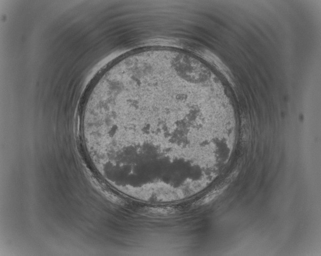 X0000080811125200701051143