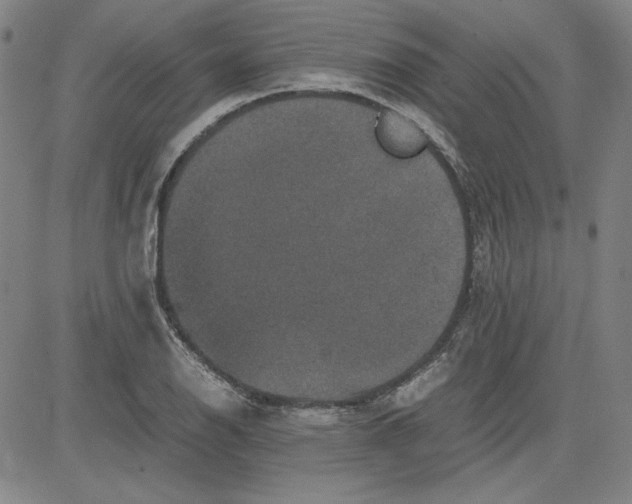 X0000080811126200701051143