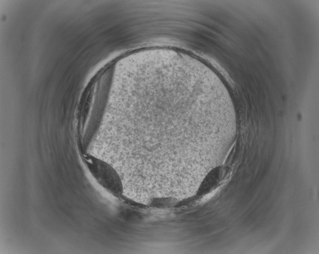 X0000080811134200701051143