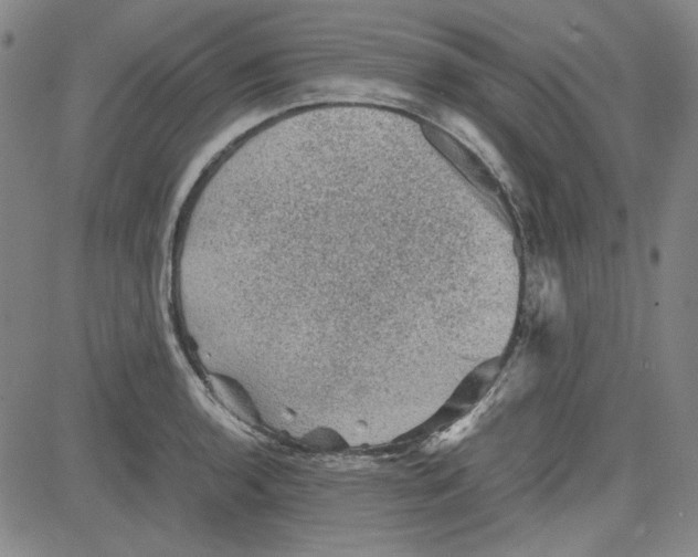 X0000080811136200701051143