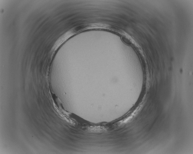 X0000080811137200701051143