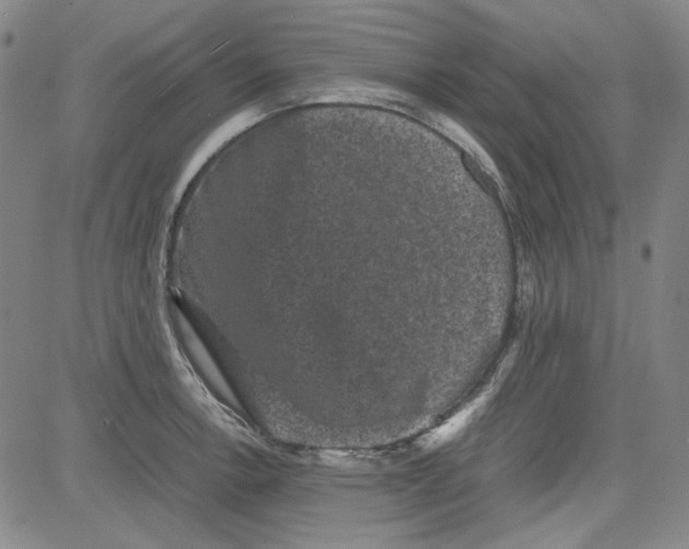 X0000080811138200701051143