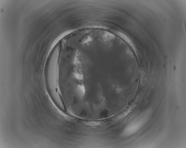 X0000080811141200701051144