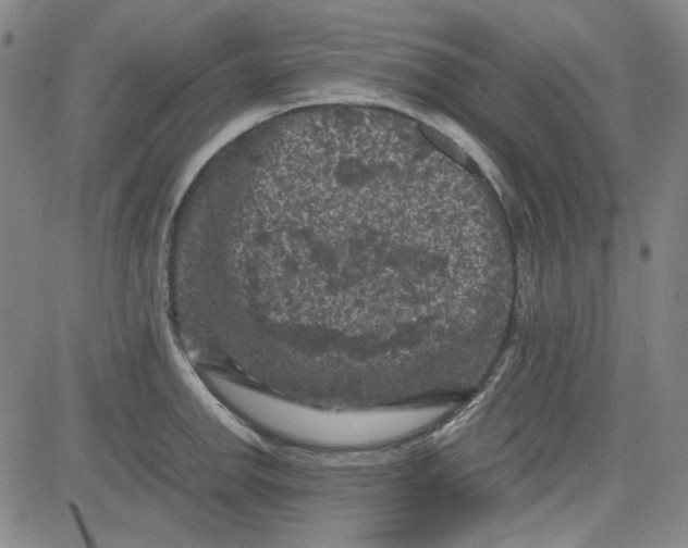 X0000080811142200701051144