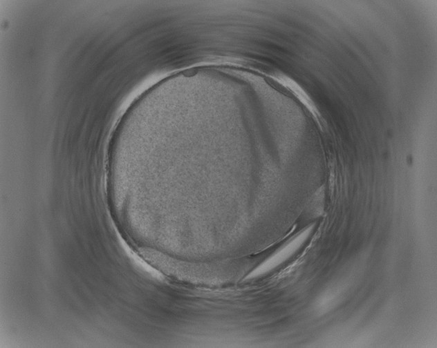 X0000080811143200701051144