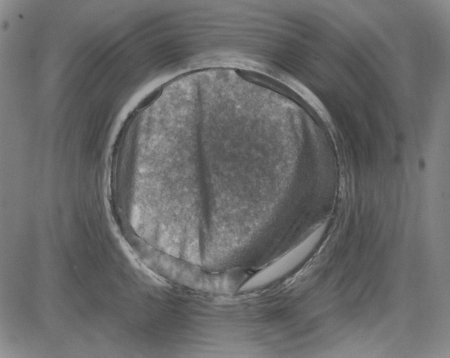 X0000080811144200701051144