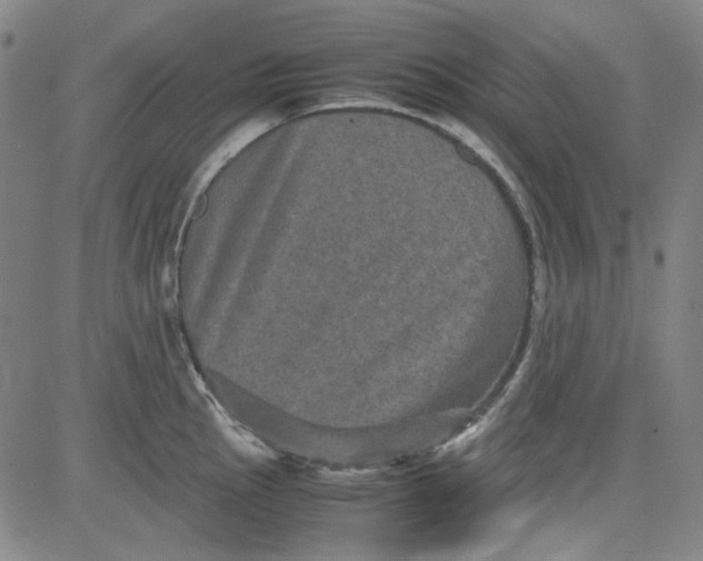 X0000080811145200701051144