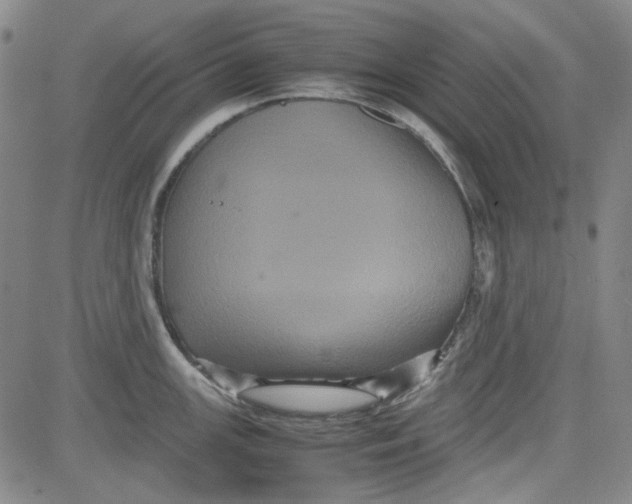 X0000080811147200701051144