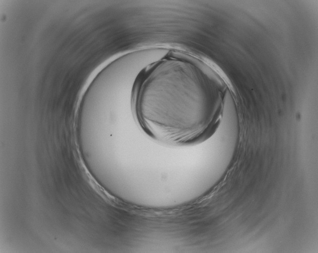 X0000080811148200701051144