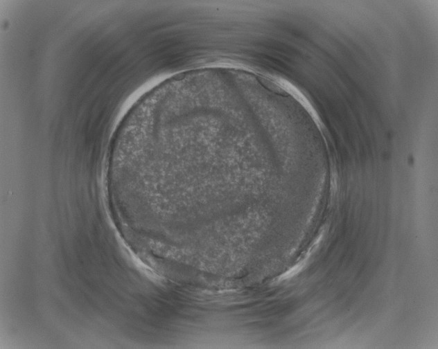 X0000080811149200701051144