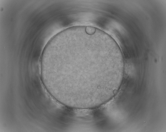 X0000080811150200701051144