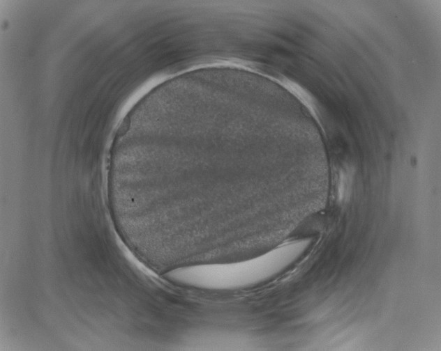 X0000080811151200701051144