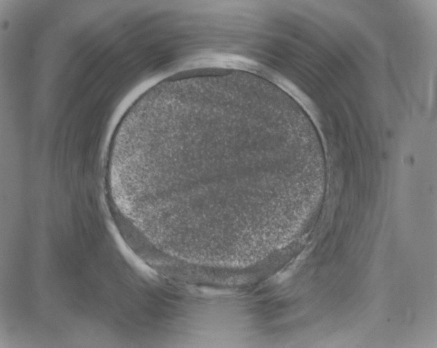 X0000080811152200701051144