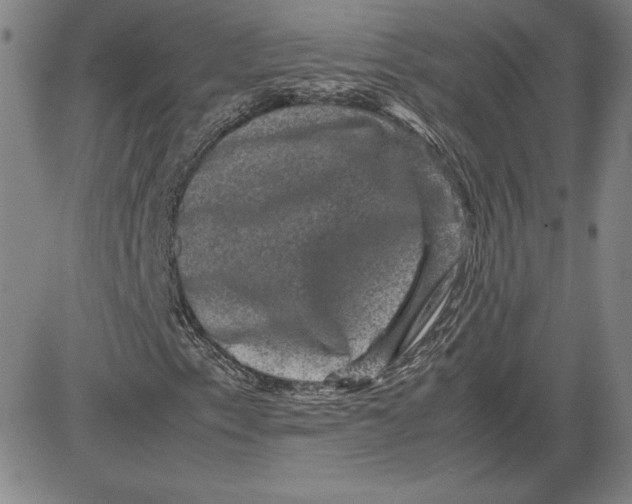 X0000080811153200701051143