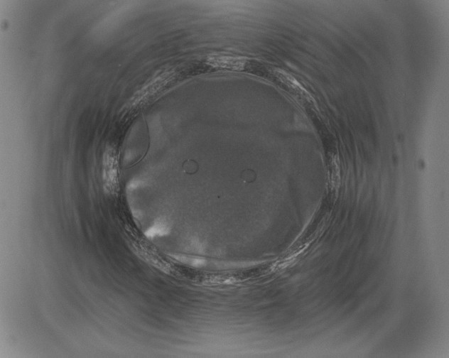 X0000080811154200701051143