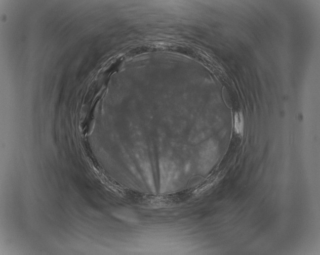 X0000080811155200701051143