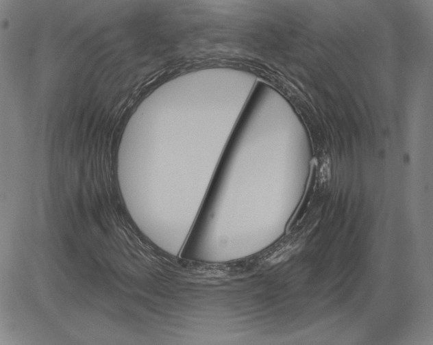 X0000080811156200701051143