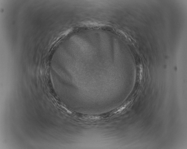 X0000080811157200701051143