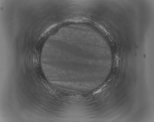 X0000080811158200701051143