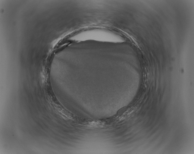 X0000080811160200701051143