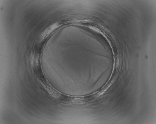 X0000080811161200701051143