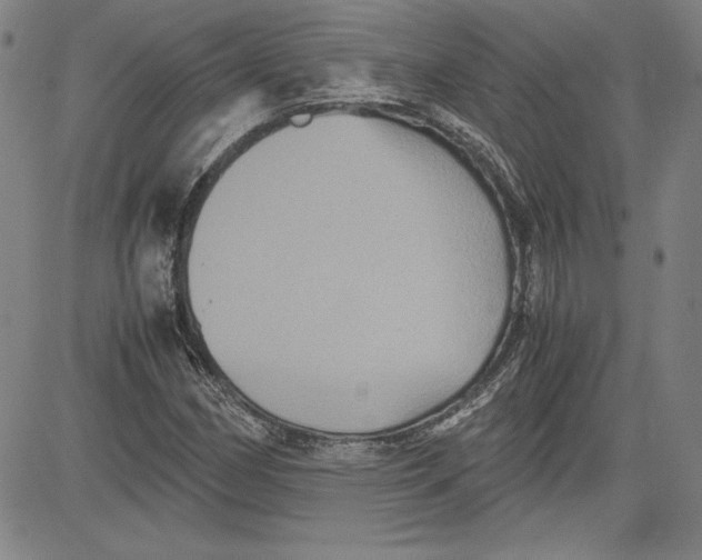 X0000080811162200701051143