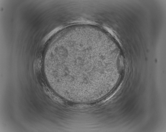 X0000080811163200701051143