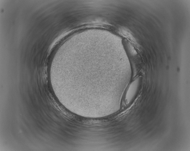 X0000080811164200701051143