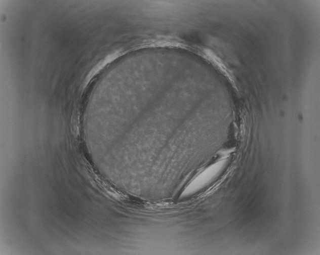 X0000080811165200701051143