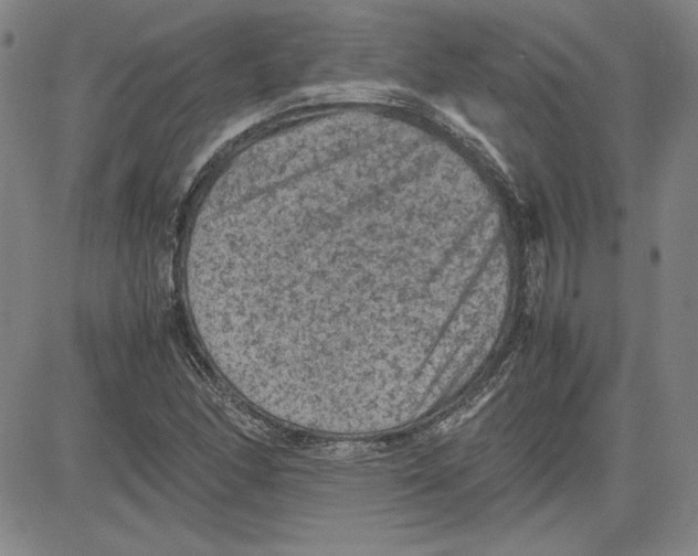 X0000080811166200701051143