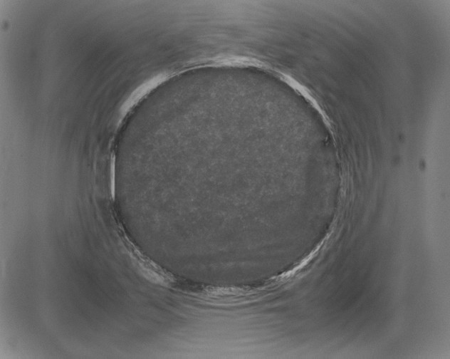 X0000080811171200701051143