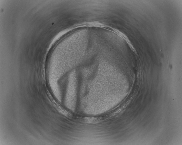 X0000080811176200701051143