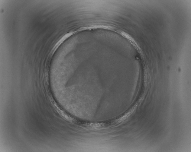 X0000080811177200701051143