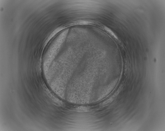 X0000080811178200701051143