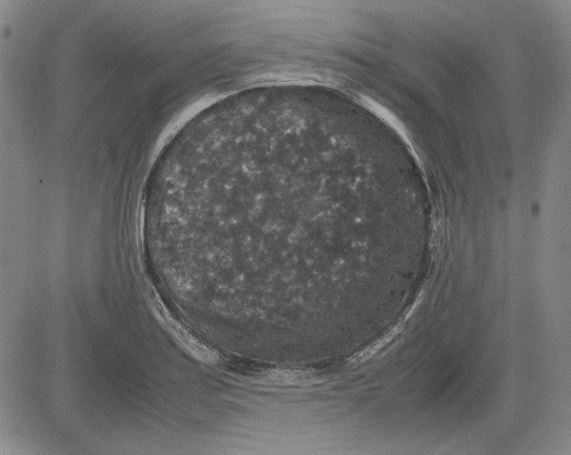 X0000080811179200701051143