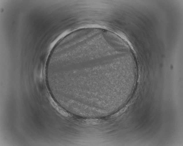 X0000080811181200701051142