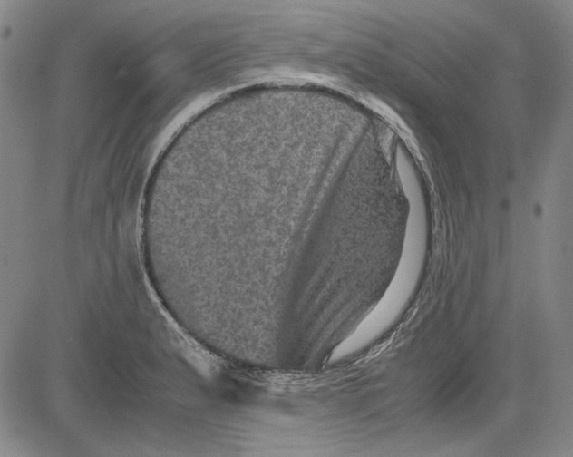 X0000080811183200701051142