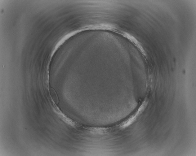 X0000080811184200701051142