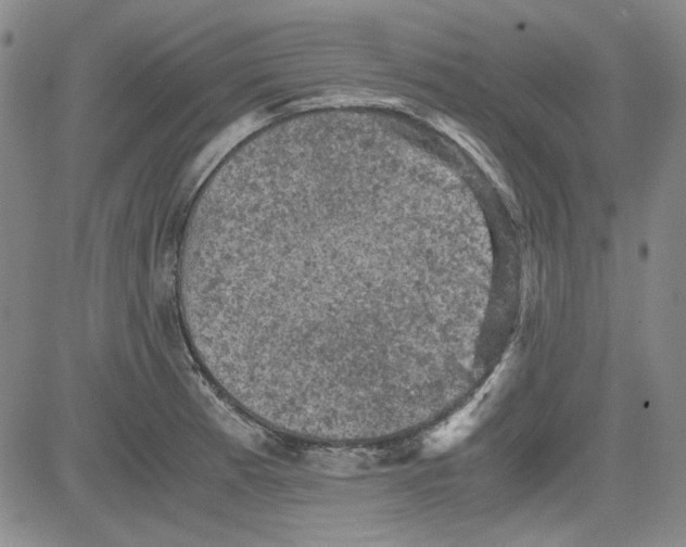 X0000080811185200701051142