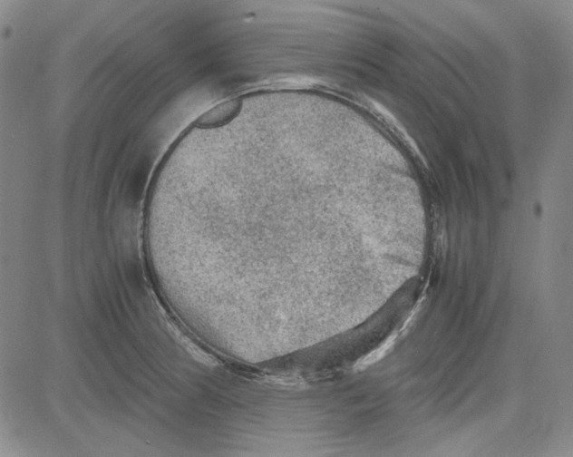 X0000080811186200701051142