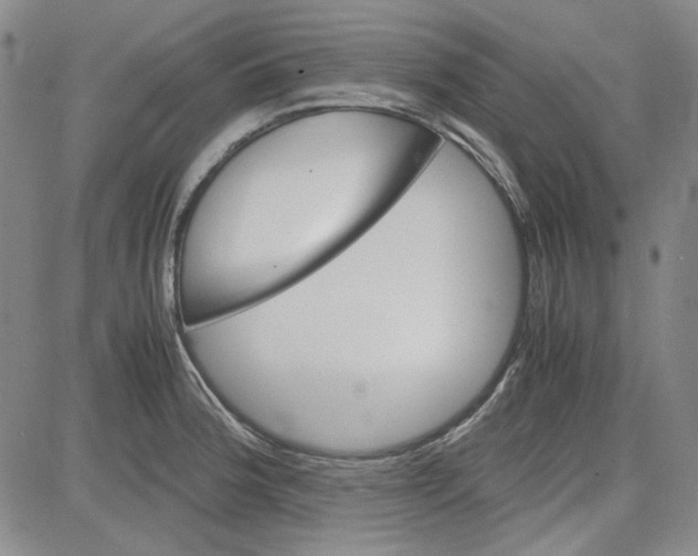 X0000080811188200701051142