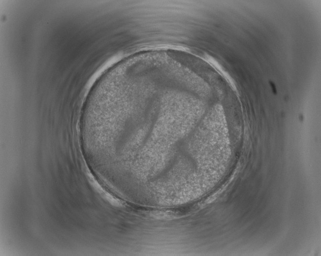 X0000080811189200701051142