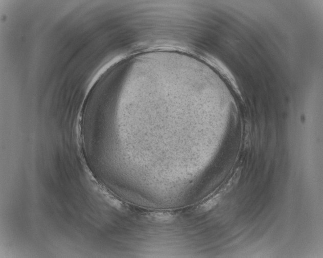 X0000080811190200701051142