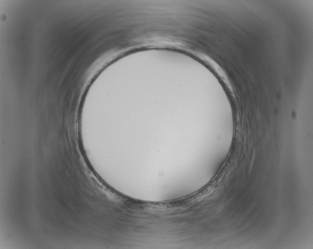 X0000080811191200701051142