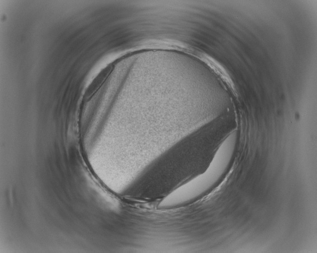 X0000080811192200701051142